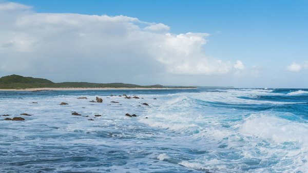 Comment organiser une visite des châteaux de Transylvanie en Roumanie?
